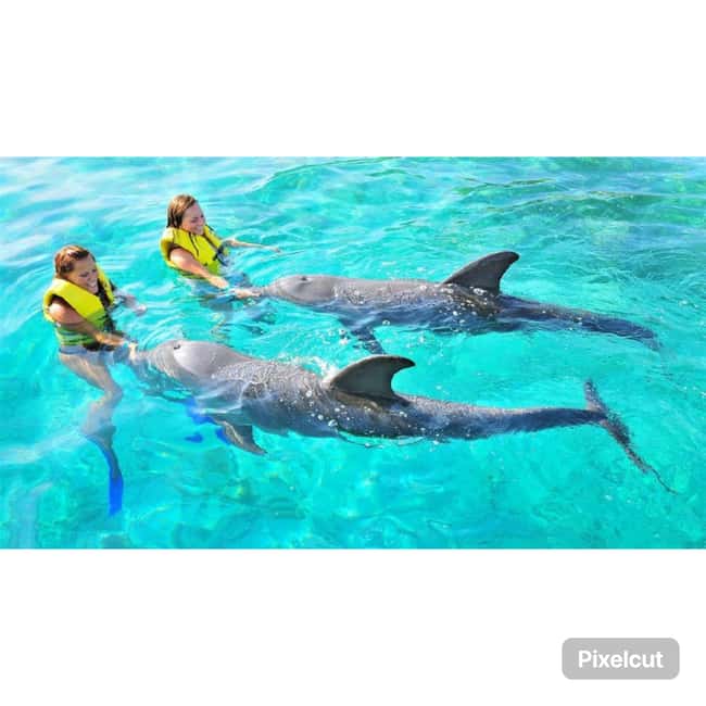 Punta Cana: Dolphin Explorer Park Entry, Swim, or Encounter - Is It Worth It for Your Group? Best Fit and Best Alternatives