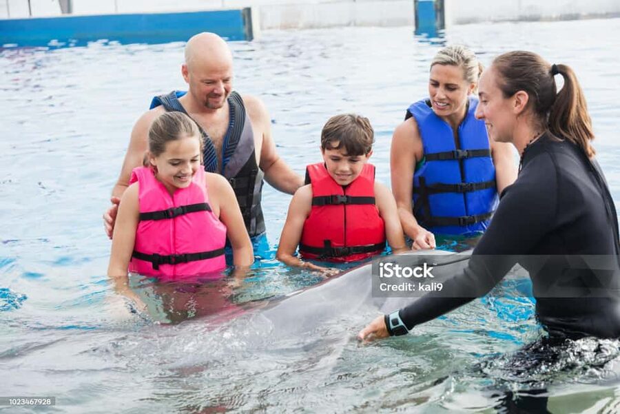 Punta Cana: Dolphin Explorer Park Entry, Swim, or Encounter - Should You Book Punta Cana Dolphin Explorer Park?