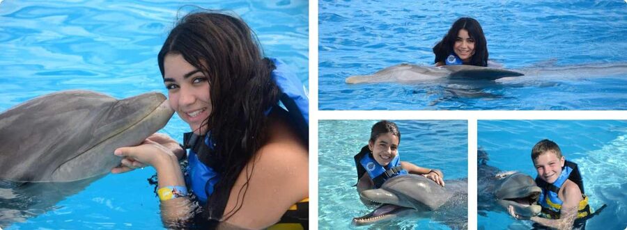 Punta Cana: Dolphin Explorer Park Entry, Swim, or Encounter - Swimming Is Optional: How the Dolphin Interactions Work