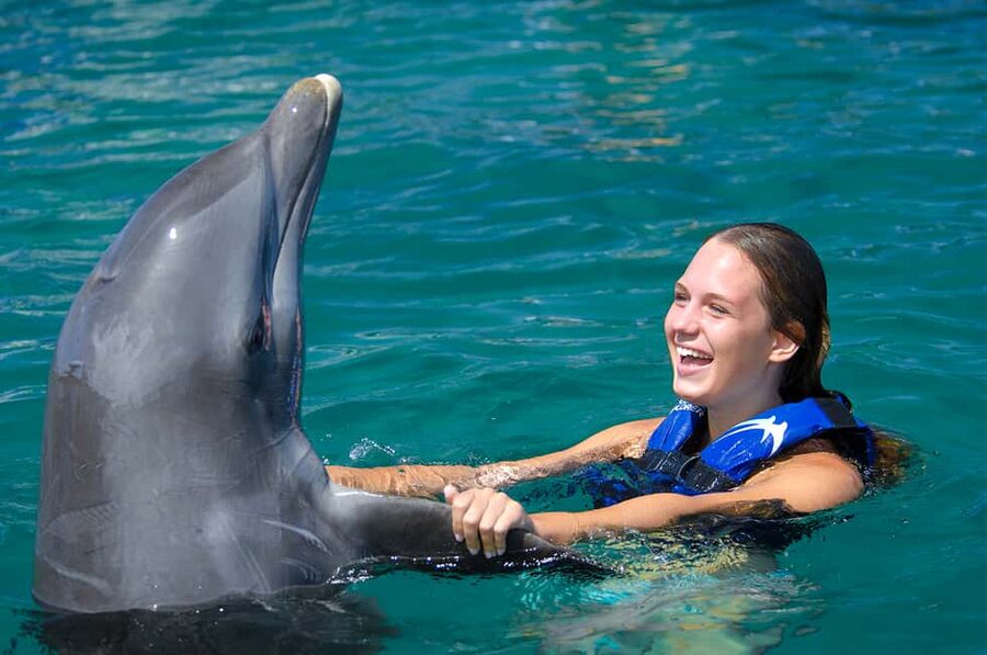 Punta Cana: Dolphin Explorer Swims and Interactions - Key Things I’d Focus On Before You Go