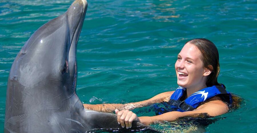 Punta Cana: Dolphin Explorer Swims and Interactions - What Happens After the Dolphin Swim (and Why It Adds Value)