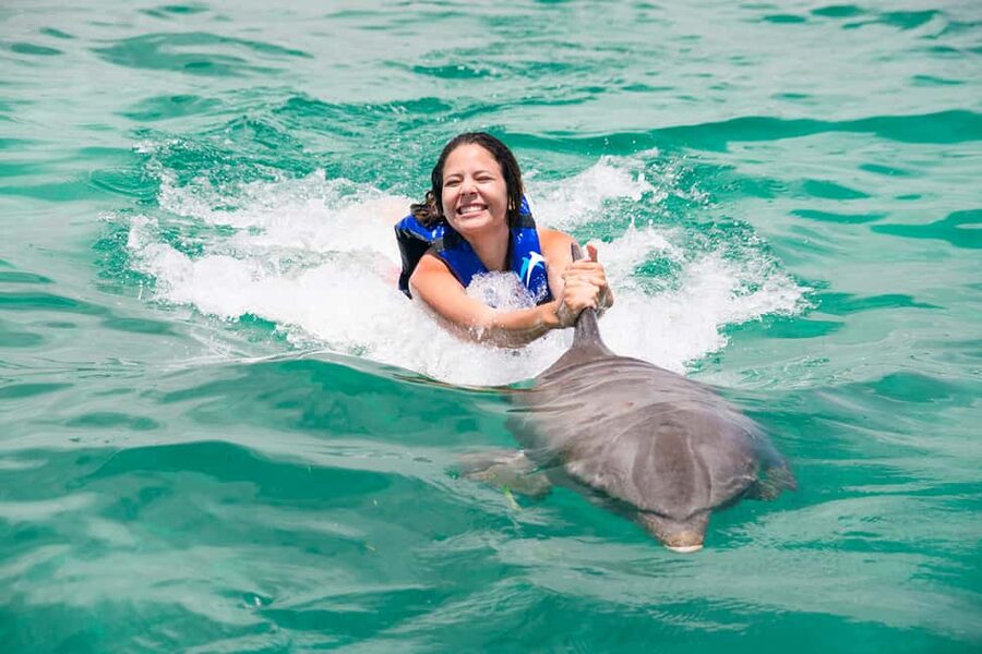 Punta Cana: Dolphin Explorer Swims and Interactions - Time and Energy: Why 40 to 60 Minutes Feels Both Short and Enough
