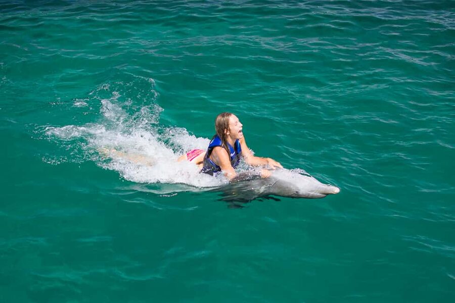 Punta Cana: Dolphin Explorer Swims and Interactions - Price Reality: How $120 Fits In, and Where Extra Costs Hit