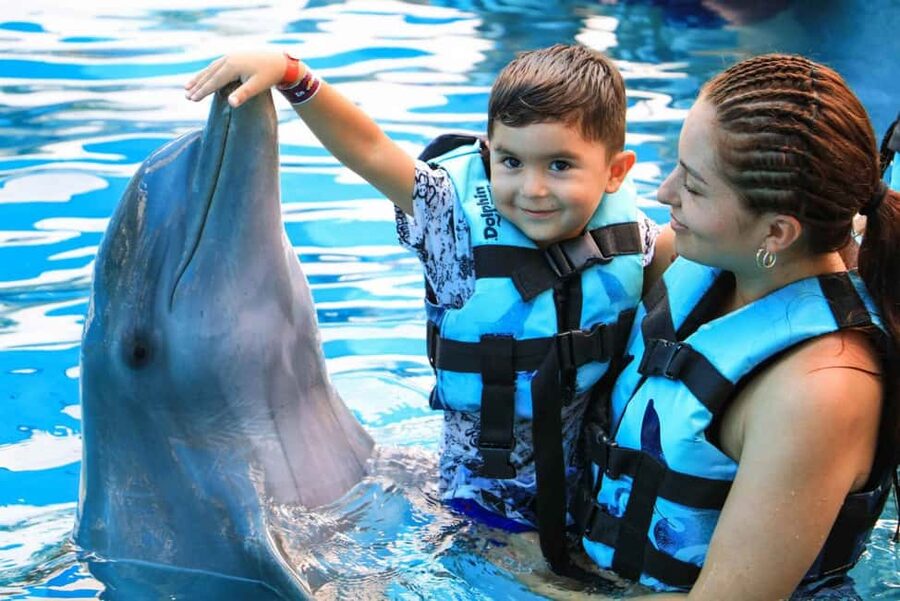 Punta Cana: Dolphin Interaction Experience & Hotel Transfers - Key things to know before you go