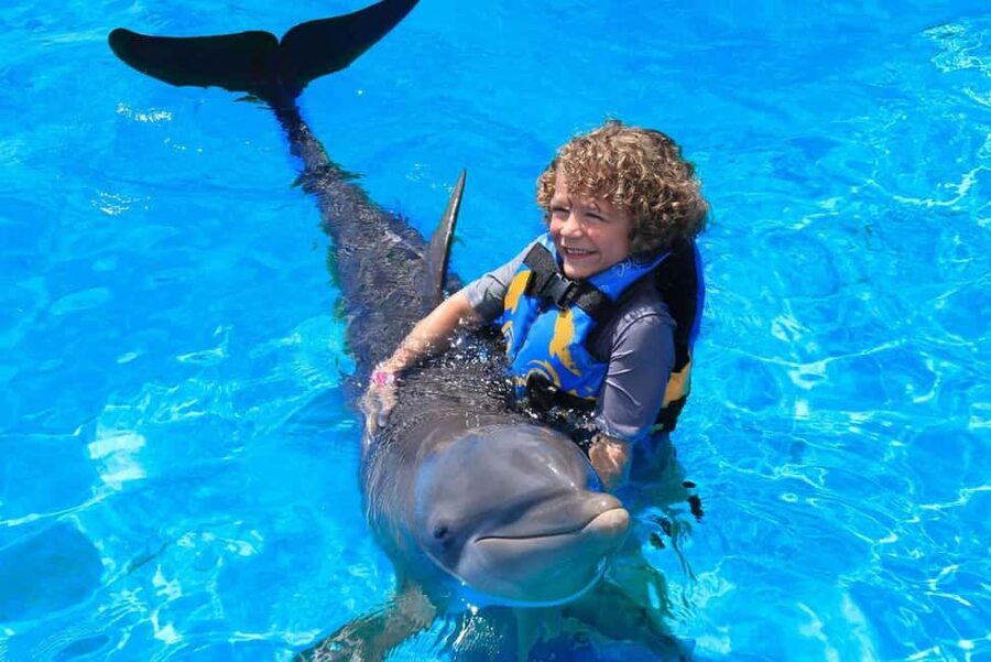 Punta Cana: Dolphin Interaction Experience & Hotel Transfers - Getting to the Dolphin Park: Punta Cana transfers that reduce stress