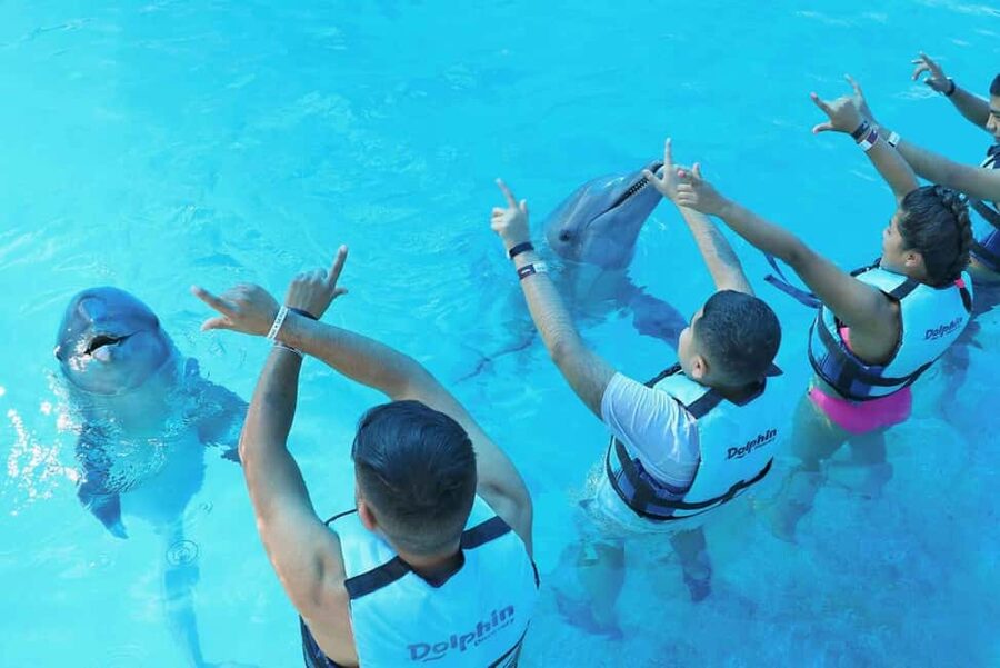 Punta Cana: Dolphin Interaction Experience & Hotel Transfers - Rules that affect your experience: cameras, life jackets, and safety limits