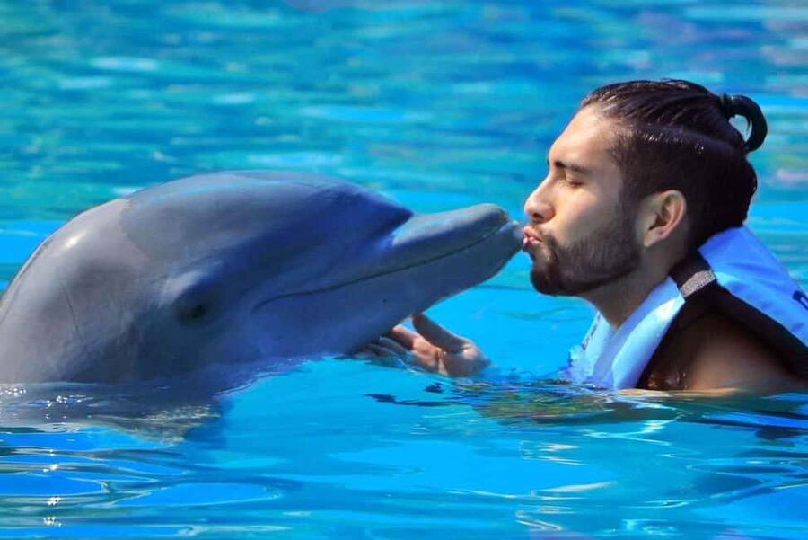 Punta Cana: Dolphin Interaction Experience & Hotel Transfers - Who this tour fits best (and who should choose something else)