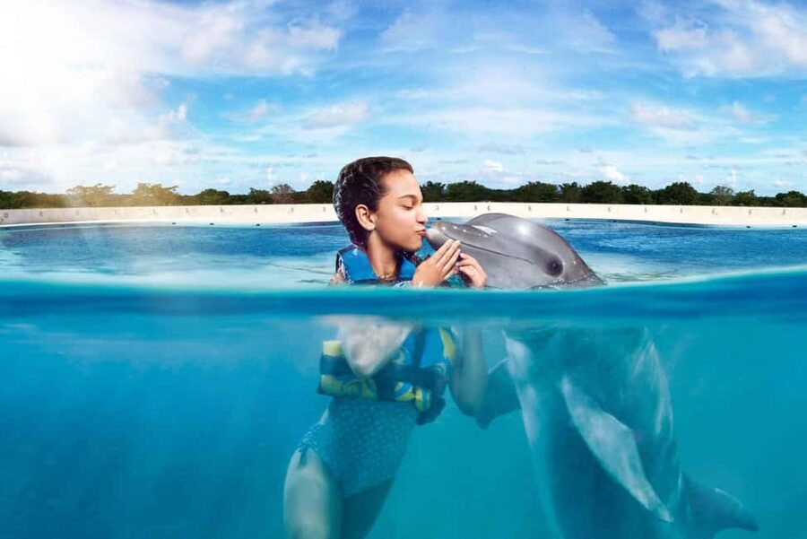 Punta Cana: Dolphin Interaction Experience & Hotel Transfers - Dolphin programs in plain language: pick the vibe that fits you