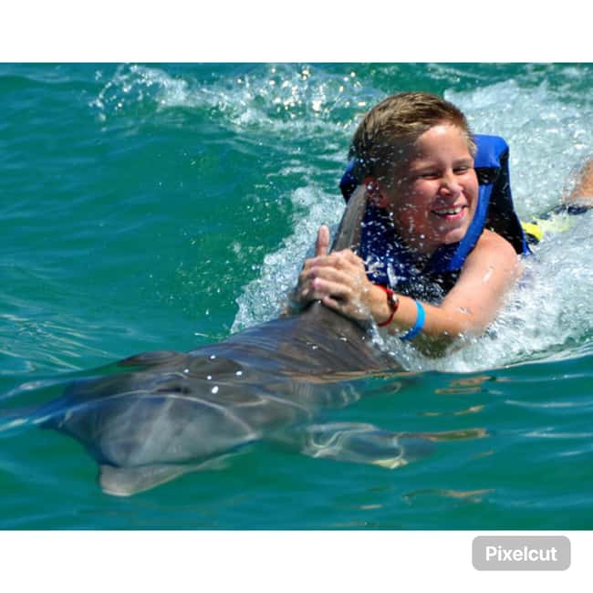 Punta Cana: Dolphin Park Entry and Swim with Dolphins - Punta Cana Dolphin Park: what the 1-hour combo really looks like