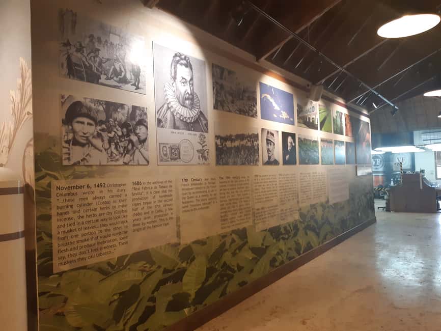 Punta Cana: Dominican Flavors Guided Day Trip - Ron Barceló Historic Center: aging cellar aromas and barrel locations