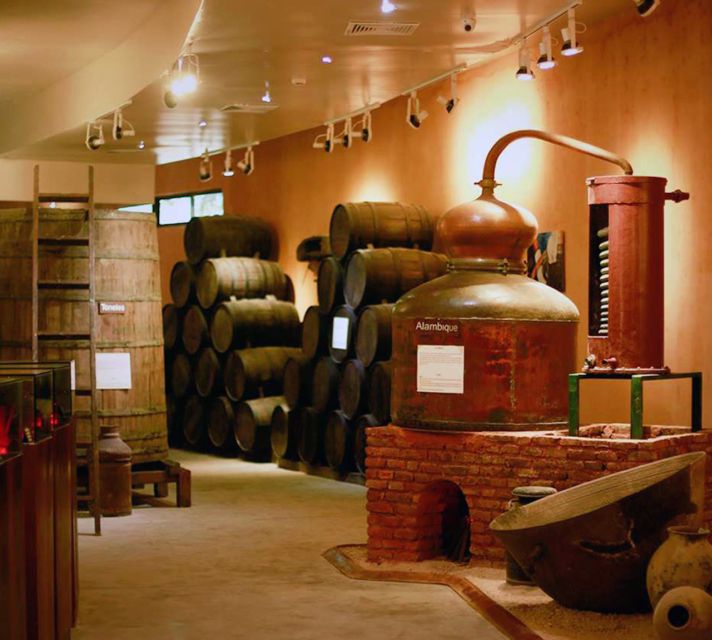 Punta Cana: Dominican Flavors Guided Day Trip - Price and value: is $125 worth it?