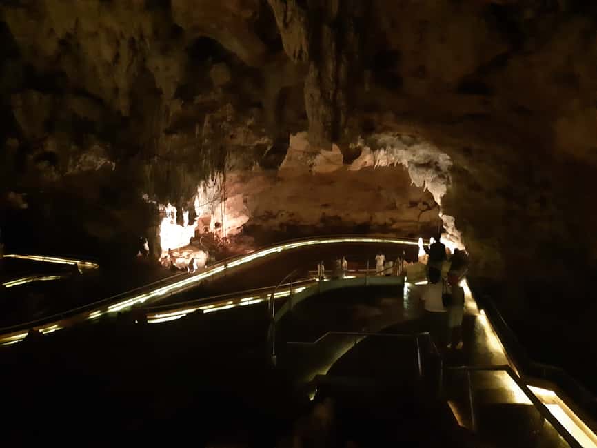 Punta Cana: Dominican Flavors Guided Day Trip - Should you book Punta Cana Dominican Flavors Guided Day Trip?