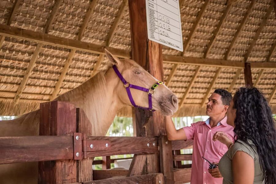 Punta Cana: Eco Park Safari Adventure - Getting there: how the 210 minutes actually feel