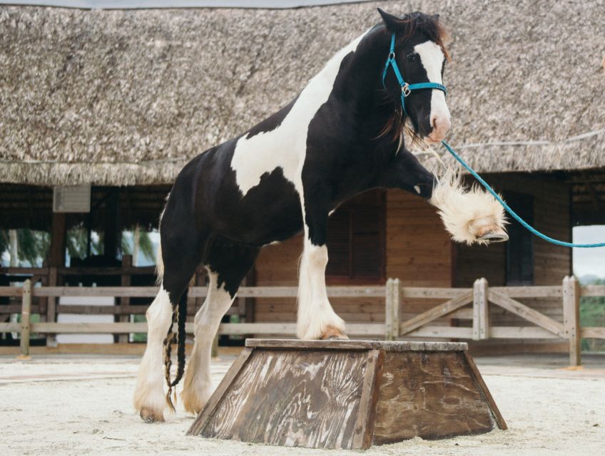 Punta Cana: Eco Park Safari Adventure - Guides and the human touch: what makes the day feel personal