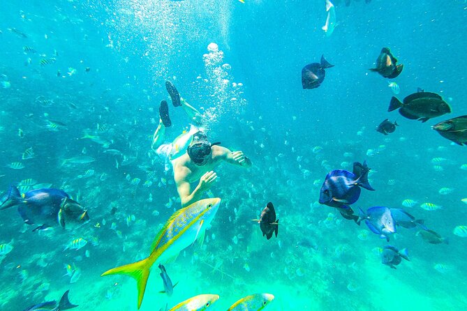 Punta Cana Exclusive Adults-Only Snorkel with Food and Drinks - Why this Cap Cana snorkel day feels different from the usual setup