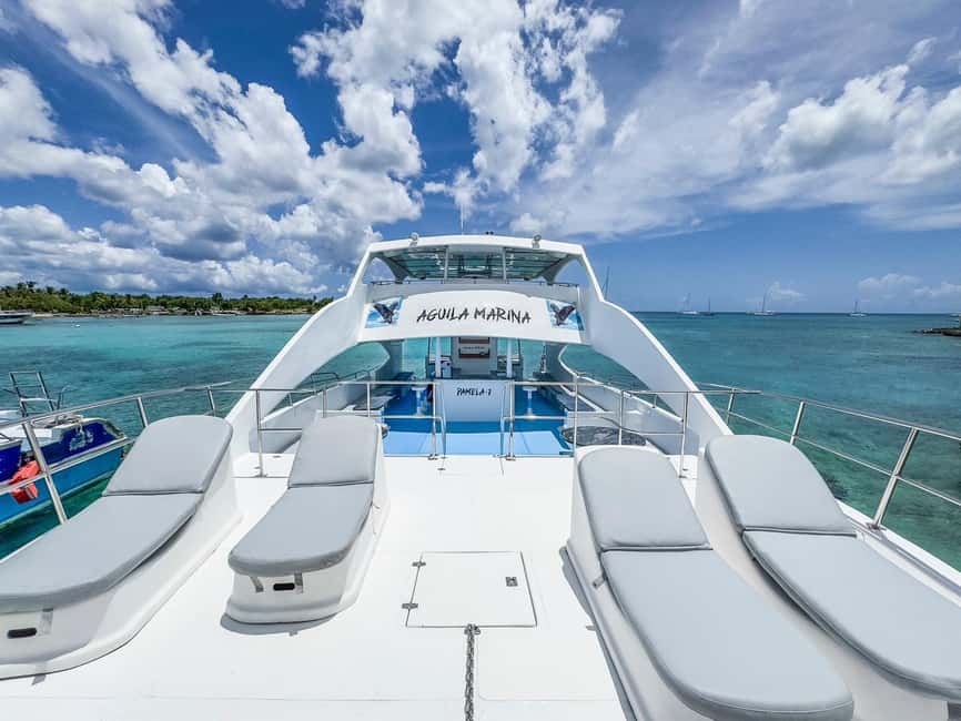 Punta Cana: Exclusive Private Catamaran Tour to Saona Island – VIP Service - Palmilla Natural Pool: swimming in a sandbar with starfish