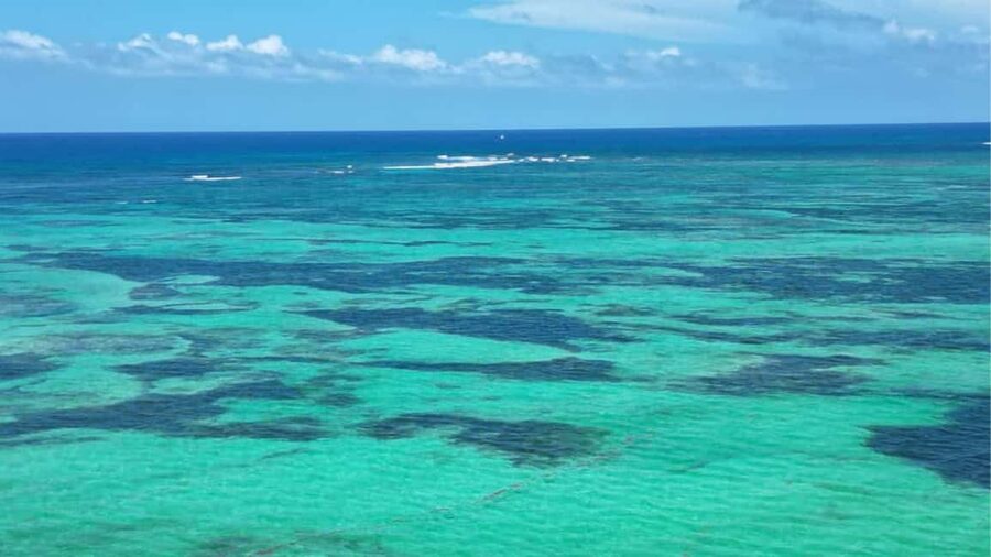 Punta Cana: Exclusive Private Catamaran Tour to Saona Island – VIP Service - The main caution: the catamaran assigned may vary