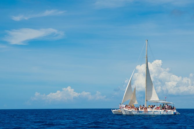Punta Cana:Exclusive Private Tours for Groups of Up to 7 People - The “luxury VIP” feel: what small-group really changes
