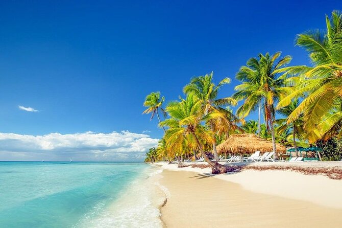 Punta Cana:Exclusive Private Tours for Groups of Up to 7 People - Lunch and open bar: the value isn’t just the price tag
