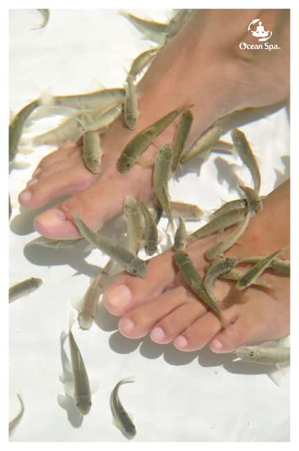 Punta Cana Floating Ocean Spa Experience with Massage & Yoga - Bio-Pilates: Breathing and Light Stretching for Energy