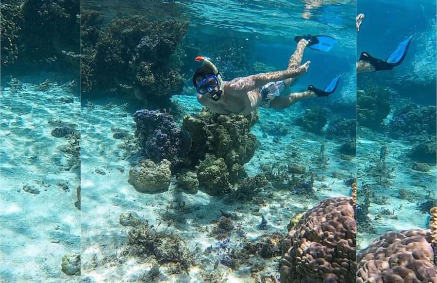 Punta Cana: Full-day Snorkelling Tour in Catalina Island - Getting to Catalina Island: Punta Cana pickup, La Romana port, and the long ride