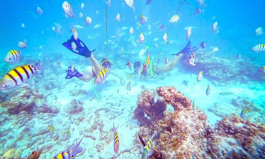 Punta Cana: Guided Power Dive Adventure - Bavaro barrier reef and natural pools: what you’ll be looking at