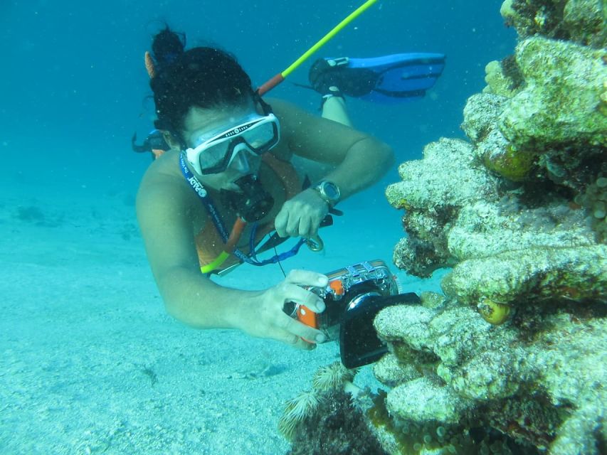Punta Cana: Guided Power Dive Adventure - Who this experience fits best (and who should skip it)