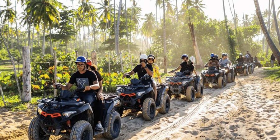 Punta Cana: Half-Day Buggy Tour with PickUp & Macao Beach - The ride itself: tropical gardens, rough roads, and a dirt-road rhythm