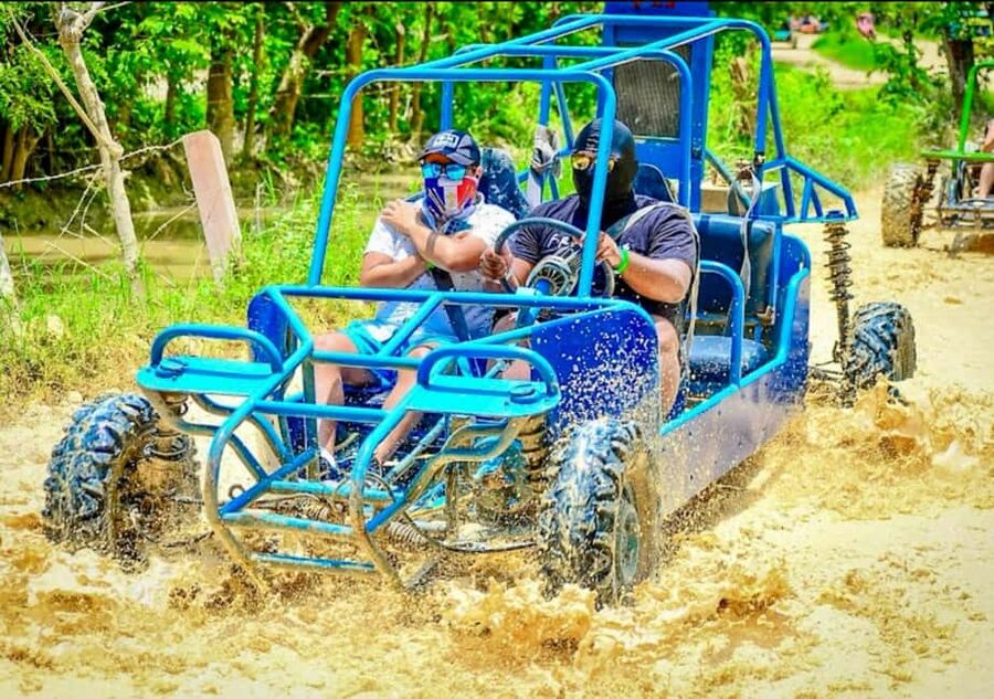 Punta Cana: Half-Day Buggy Tour with PickUp & Macao Beach - Organic farm stop: coffee, mamajuana, and learning what locals actually use