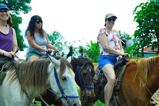 Punta Cana Half-Day Cultural Safari with Lunch and Drinks - Ranch Lunch in the Higüey Mountains: Buffet Food, Big Views, and Drinks