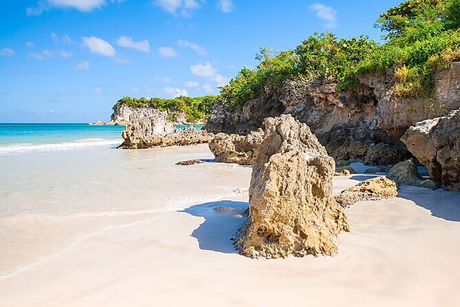 Punta Cana Half-Day Cultural Safari with Lunch and Drinks - River Walk and Horse Ride: Fun, Outdoor, and Worth Planning For