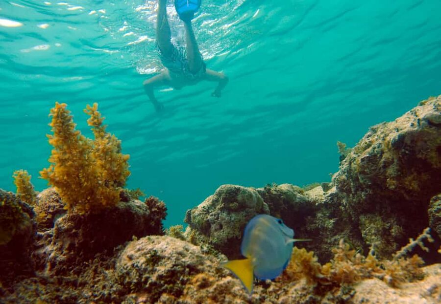 Punta Cana Happy Hour Sailing Cruise - Getting from your hotel to Cabeza de Toro without stress