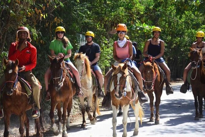 Punta Cana Horse Riding for Beaches in Field - A Beach-First 2-Hour Ride Plan in Punta Cana