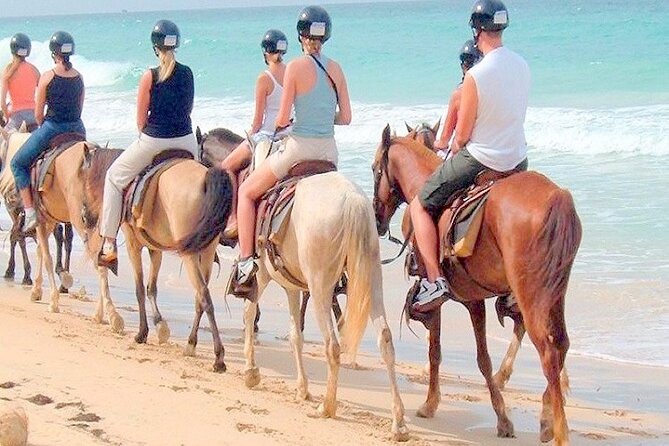 Punta Cana Horse Riding for Beaches in Field - What You Actually Get: Pickup, Helmet, Water, and Tastings