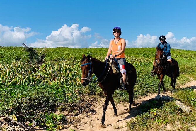 Punta Cana Horseback Ride: Jungle, Macao Beach & Free Pick Up - Price Check: What $36 Covers and What You’ll Want to Bring