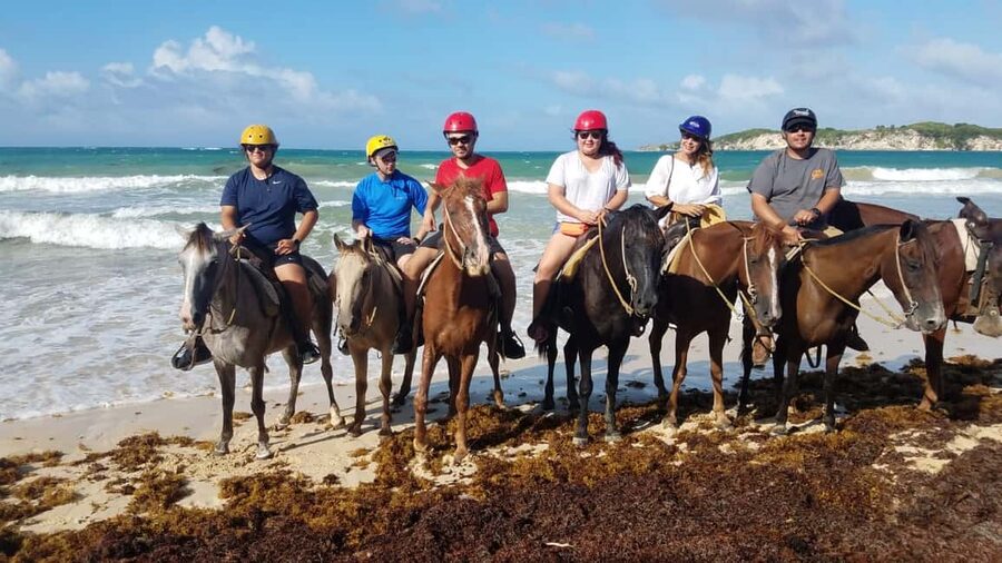 Punta Cana: Horseback Ride to Macao Beach - Hotel pickup in Punta Cana: start strong by showing up early