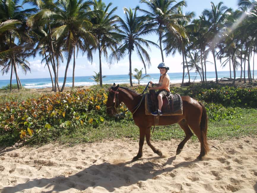 Punta Cana: Horseback Ride to Macao Beach - Traditional village stop: the cultural peek you actually get time for