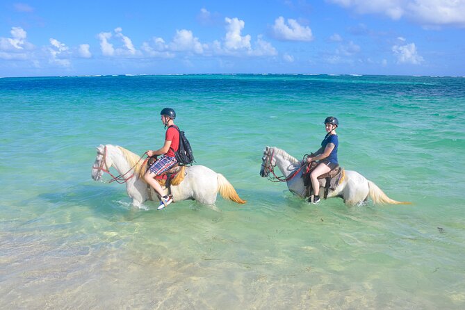 Punta Cana Horseback Riding Adventure - Key Points You’ll Care About