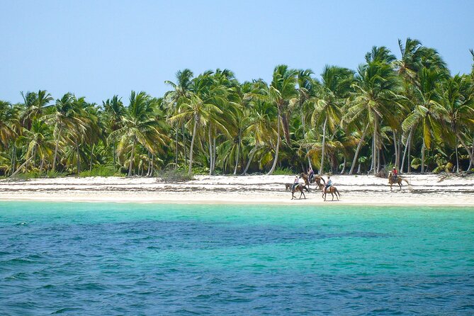 Punta Cana Horseback Riding Adventure - Choosing 1 Hour vs 2 Hours: Picking the Right Ride Length