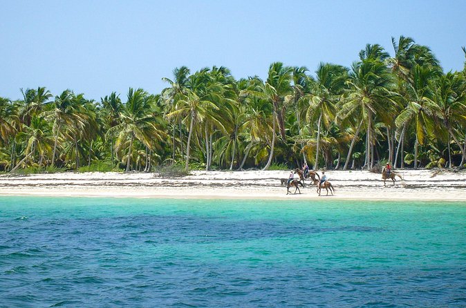 Punta Cana Horseback Riding Adventure - Price and Value: Is $60 Worth It in Punta Cana?