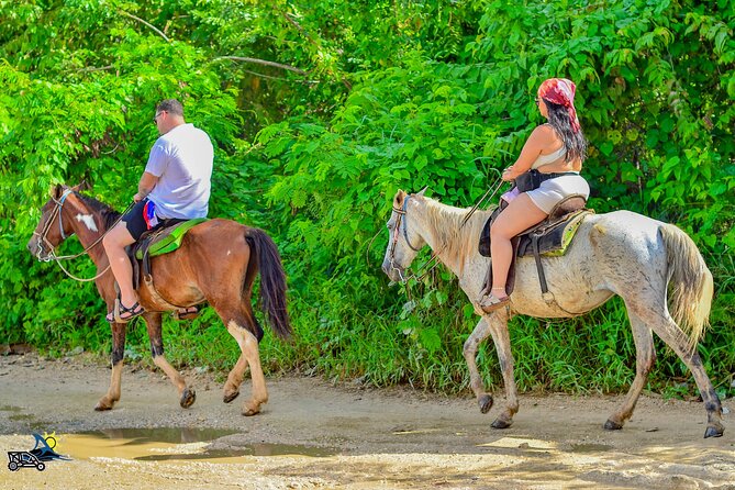 Punta Cana Horseback Riding Adventure on Macao Beach - Riding into Macao Beach: waves, sand, and limestone cliffs