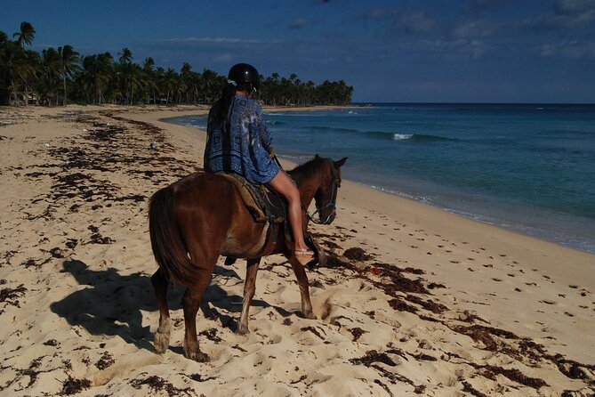 Punta Cana Horseback Riding on the Beach - Wildlife moments: why you’ll notice it more than you expect