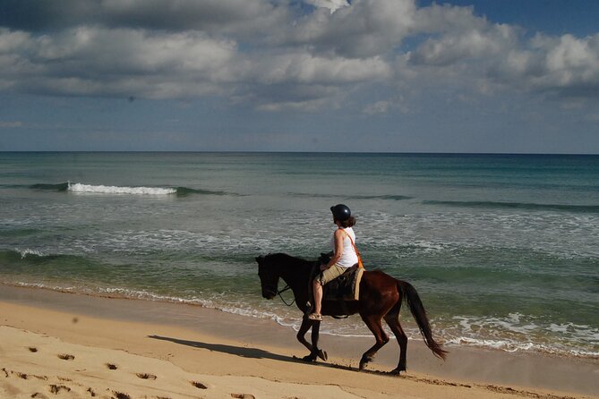 Punta Cana Horseback Riding on the Beach - What’s included (and how that affects value)