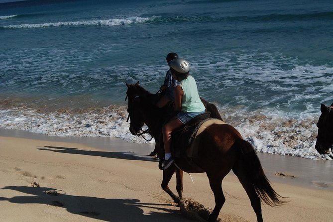 Punta Cana Horseback Riding on the Beach - Duration and timing: how to plan your morning