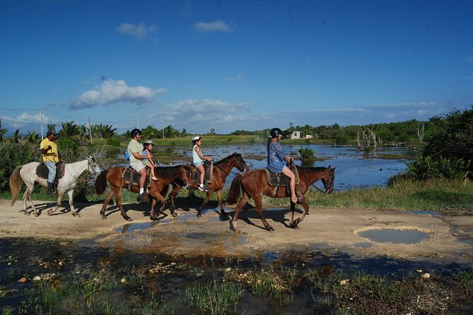 Punta Cana Horseback Riding on the Beach - Money notes: does $75 feel fair here?