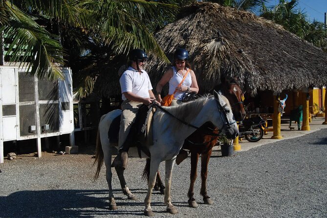 Punta Cana Horseback Riding on the Beach - The ride day flow: from pickup to stables to shoreline