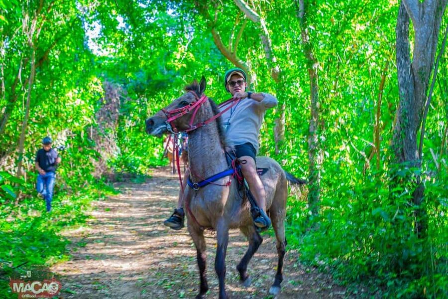 Punta Cana Horseback riding & Sunset + beach + free pick-up - The real timing: how “3 hours” fits into your day