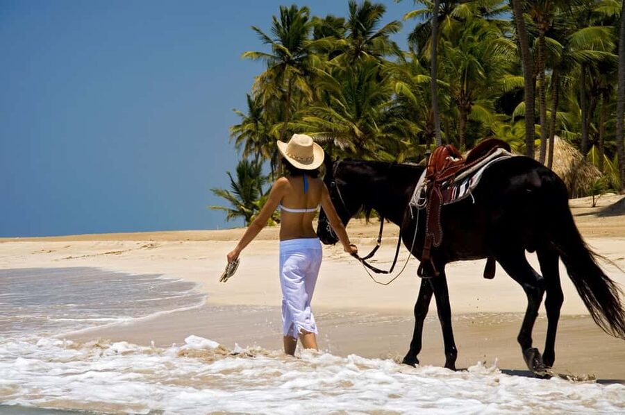 Punta Cana: Horseback Riding through Stunning Beaches - Key things to know before you book