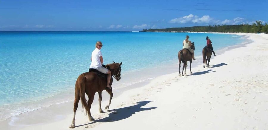 Punta Cana: Horseback Riding through Stunning Beaches - From hotel pickup to the ranch: how the 3 hours really play out