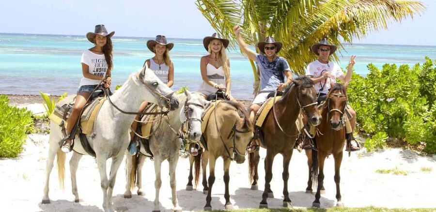 Punta Cana: Horseback Riding through Stunning Beaches - The forest-and-roads section: the ride that feels local